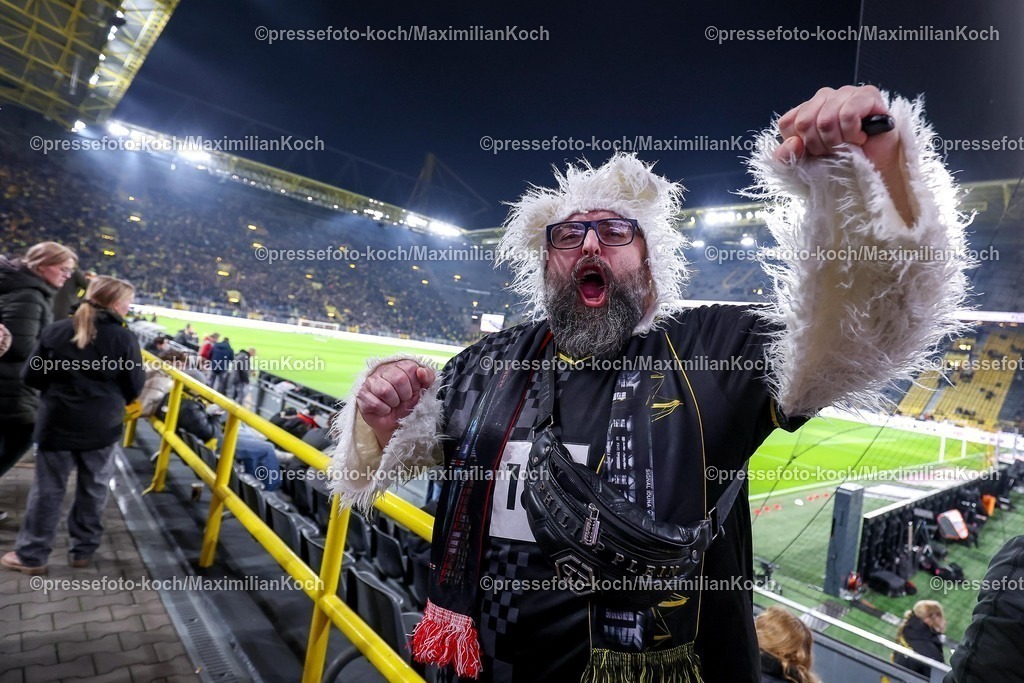 BVB13022601017 | 13.02.2026, Fußball, Borussia Dortmund - 1.FSV Mainz 05,, 1. Fußball Bundesliga, 22. Spieltag, Signal Iduna Park, Saison 2025 2026: Verklkeidete BVB Fans freuen sich auf das Spiel und feiern Karneval und Fußball zusammen auf der Tribüne.  DFB regulations prohibit any use of photographs as image sequences and or quasi-video.