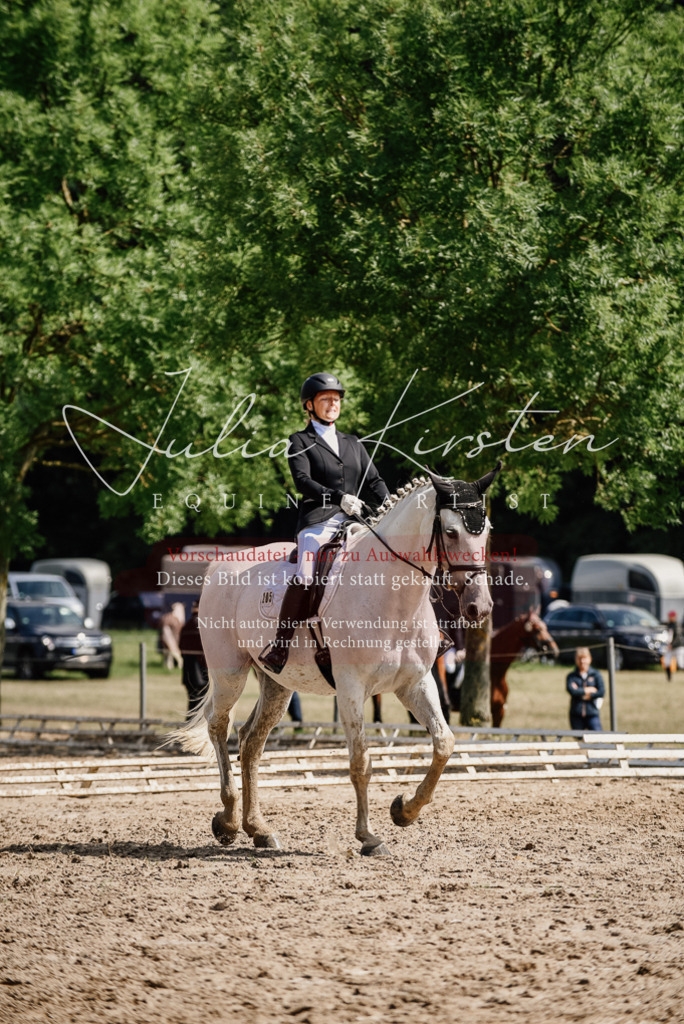 DSC_0367 | Pferde- und Turnierfotografie in Westsachsen. Pferdeportraits, Auftragszeichnungen und intuitive Kunst.