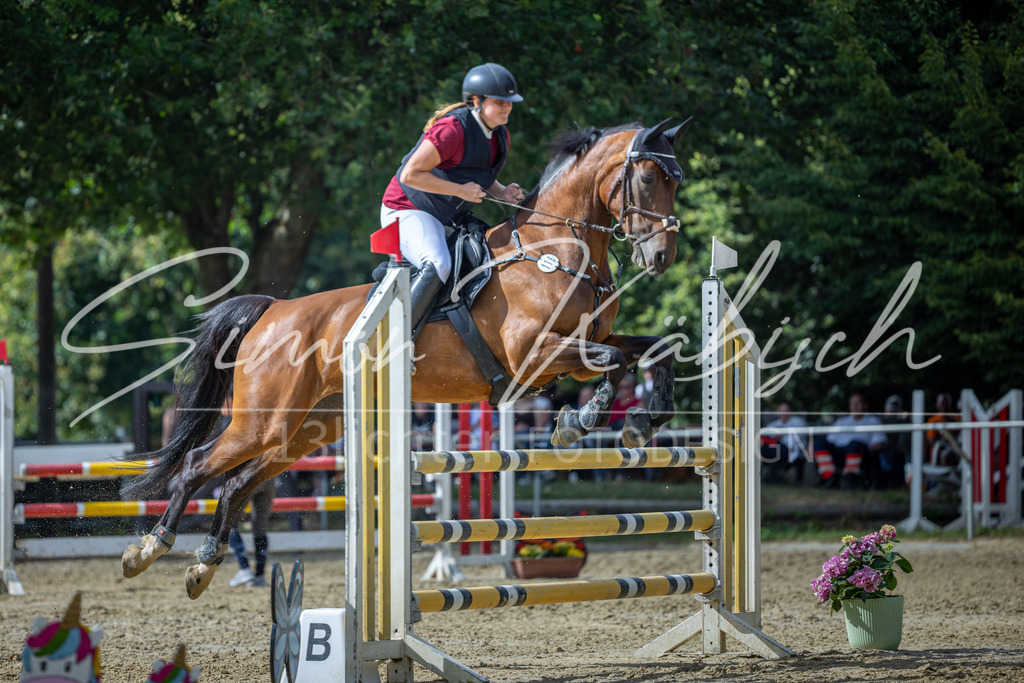 20260704-_3LI1763 | Tierfotografie Pferde, Hunde, Katzen, Haustiere.
Turnierfotografie Reitturniere, Reiten, Springreiten, Dressur in Hanau, dem Main-Kinzig-Kreis und dem Rhein-Main- Gebiet um Frankfurt