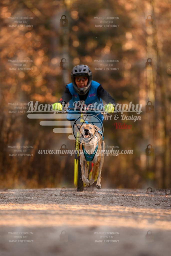 MompixPhotography_DM_AKDM_SO_2025_Scooter-146 | PayLife