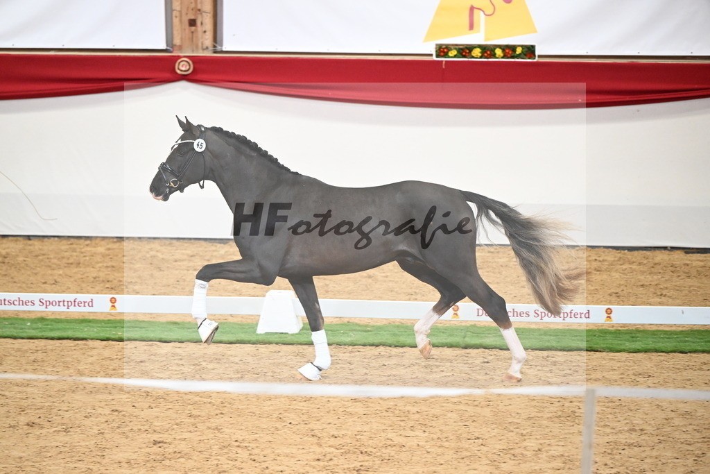Kat.-Nr. 45 v. Bonds_Schafhof_2250059 | hf-fotografie - Realisiert mit Pictrs.com
