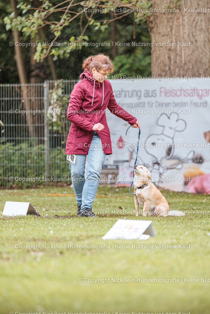 RO-Blumenthal-2026-Nickbest-Hundefotografie-0625 | Dein Hund! Dein Moment! Deine Erinnerungen! Hundefotografie in Bremen Blumenthal. Ich fange die besonderen Momente deines Vierbeiners ein – ob Indoor mit Blitzanlage oder in der freien Natur. Sicher dir dein Moment und dein Termin für eure Erinnerungen.