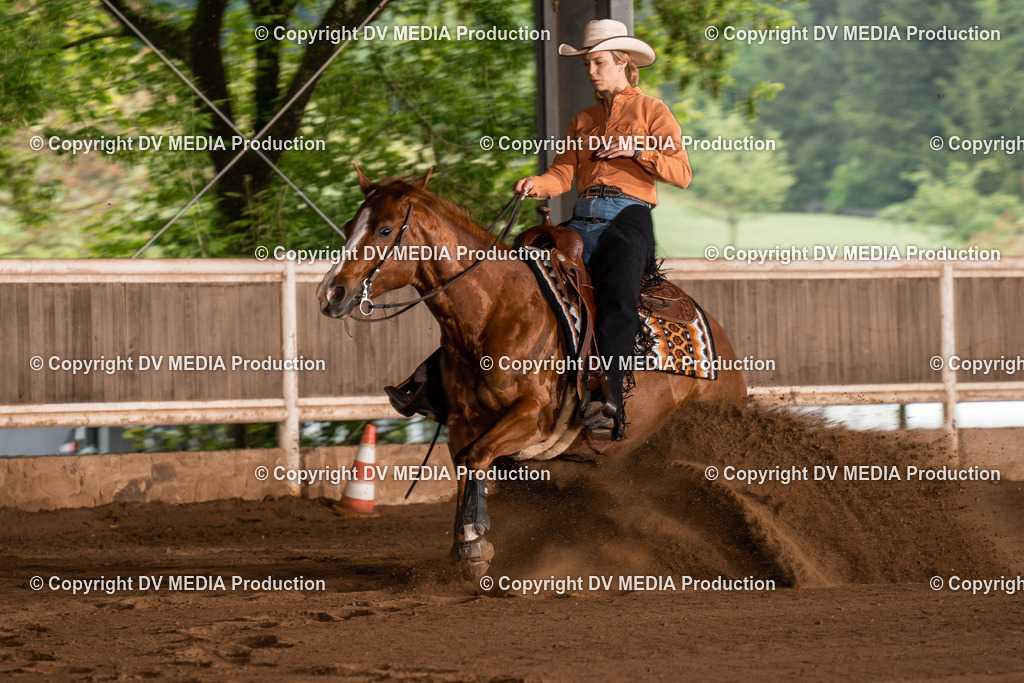 Erbach Tag 2-784 | dv-media-shop - Realisiert mit Pictrs.com