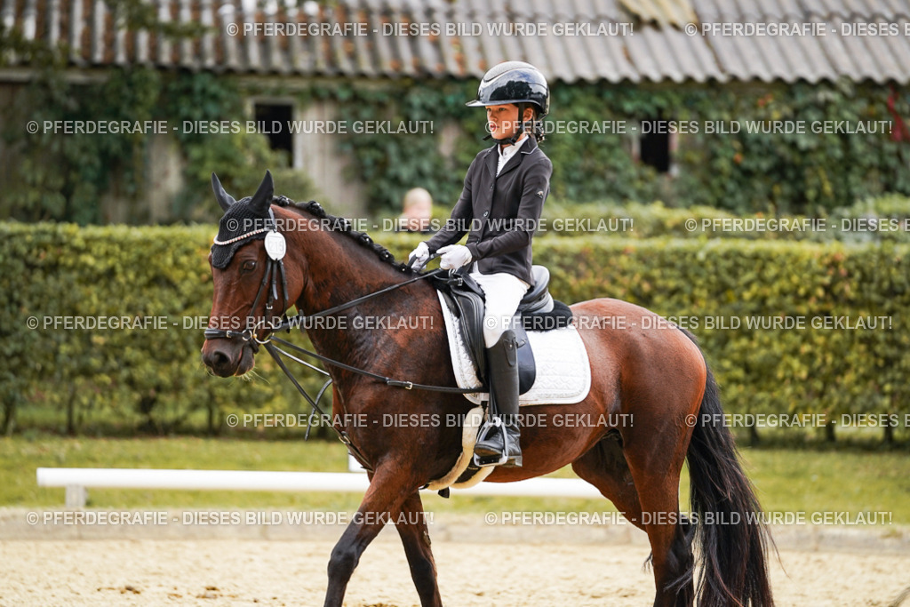 DSC00584 | Pferdegrafie