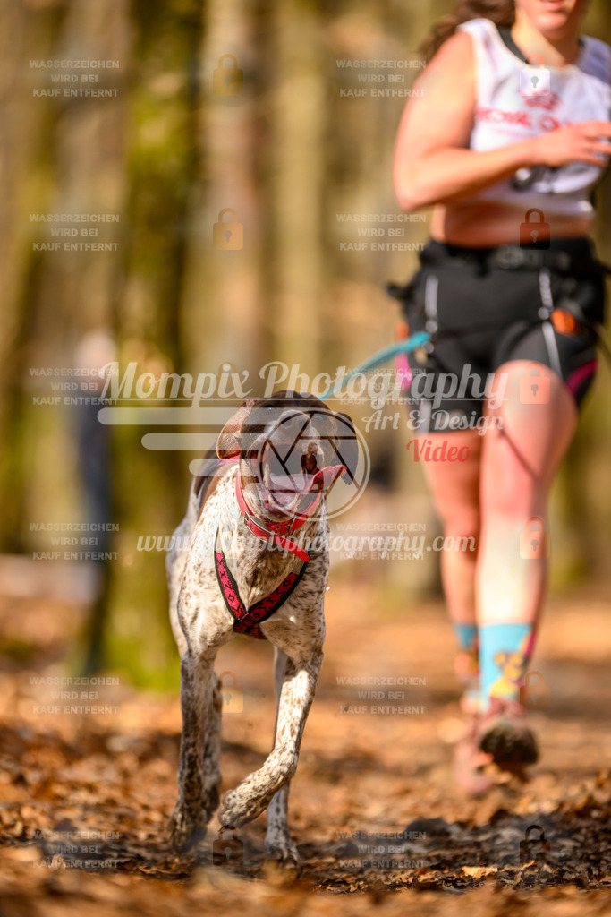MompixPhotography_Habay2025_SA_CCC-173 | PayLife