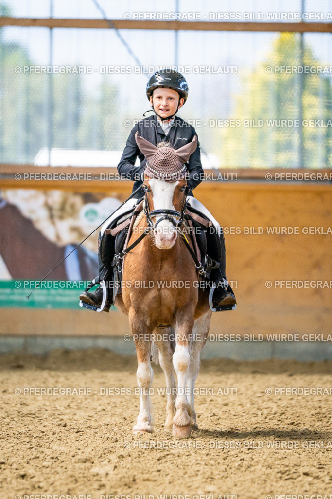 DSC03055 | Pferdegrafie