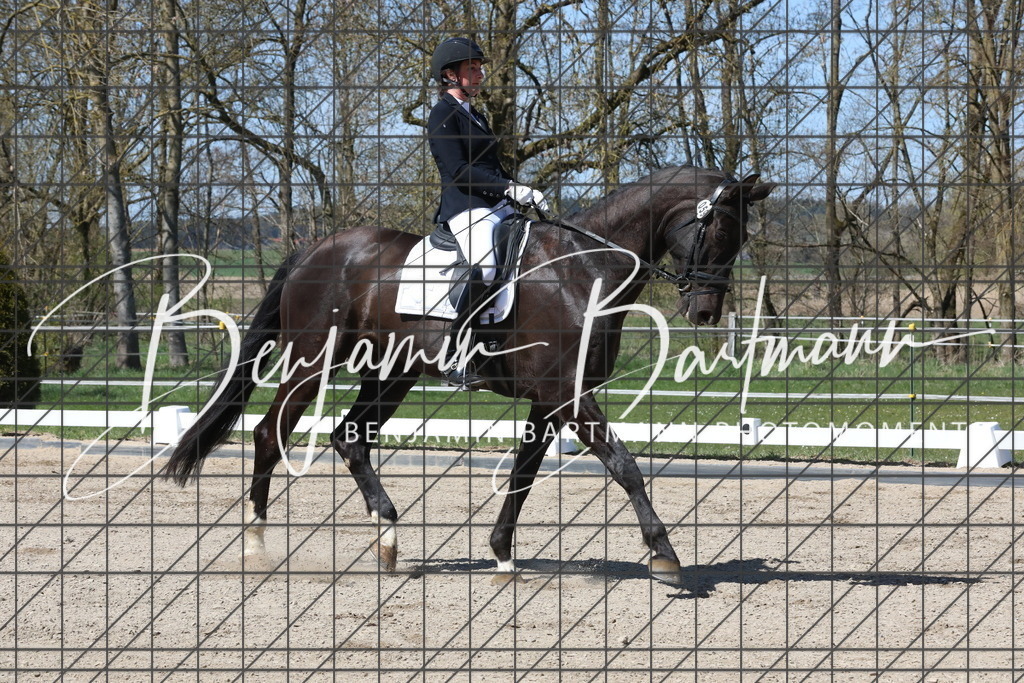 AZ2A4178 | Benjamin Bartmann Photomoments