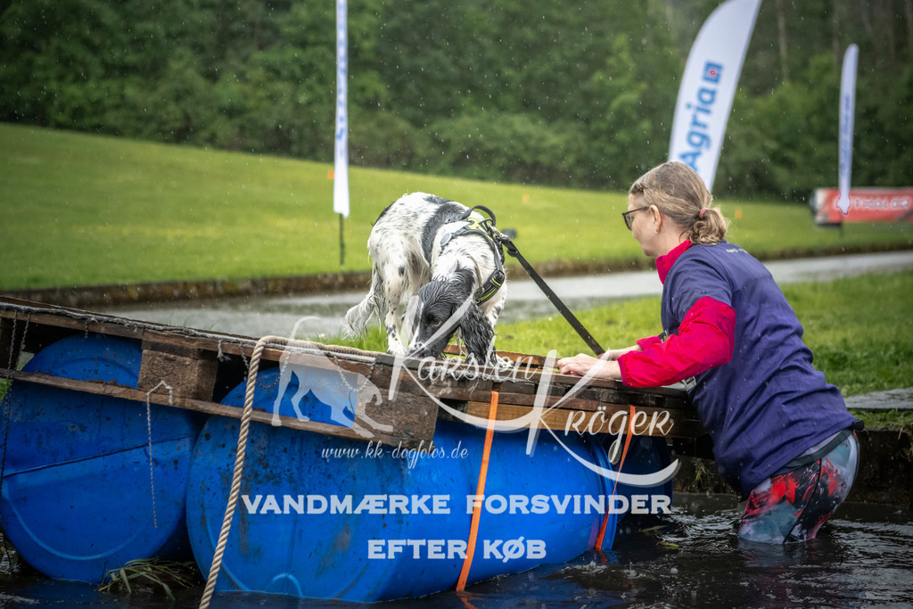 1328_ZZ98684 | kk-dogfotos