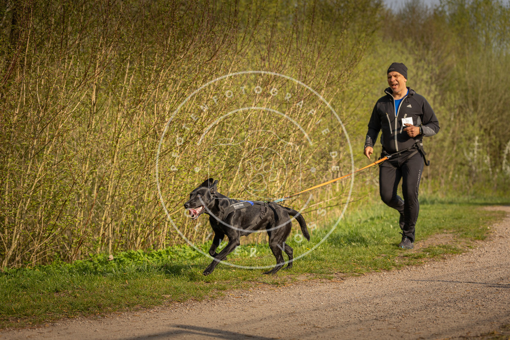 Pfotenfotografie_DV3A4733 | Hundefotografie, Tierfotograf, Pfotenfotografie, Fotoshooting Hund, Hunde Portrait, Hundesport, Hundeportraits, Heideshooting, Hunde, Sportfotograf, Hundefotograf, Turnierhundsport, THS,  - Realisiert mit Pictrs.com
