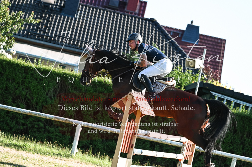 DSC_2960 | Pferde- und Turnierfotografie in Westsachsen. Pferdeportraits, Auftragszeichnungen und intuitive Kunst.