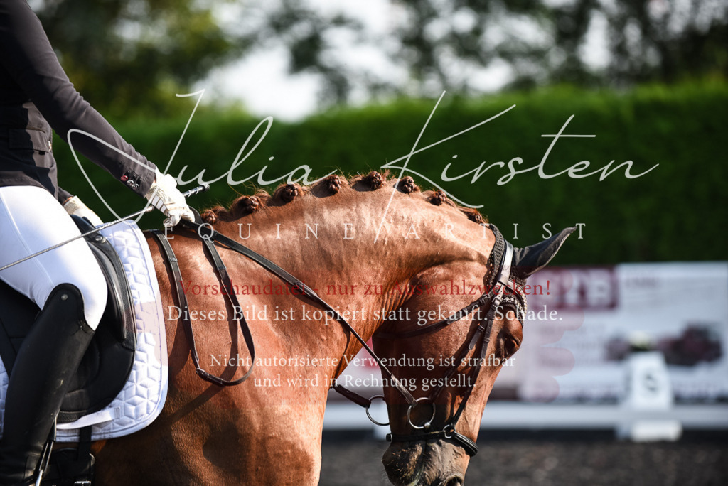 DSC_3266 | Pferde- und Turnierfotografie in Westsachsen. Pferdeportraits, Auftragszeichnungen und intuitive Kunst.