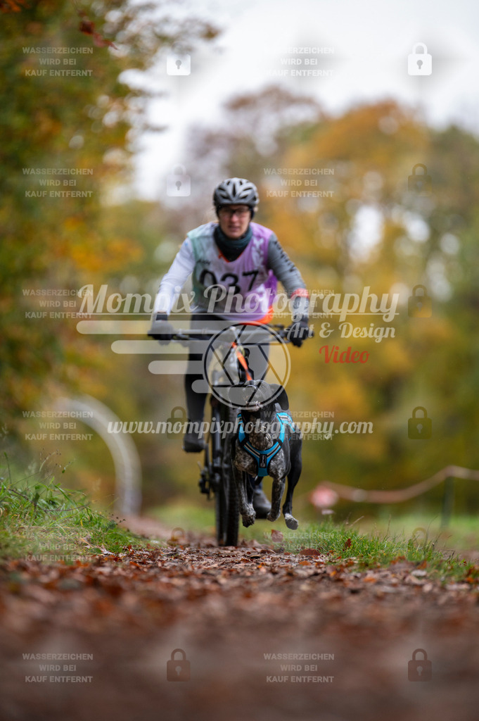 DBT_DAKM_SA_4_11_2023_Bike-12 | PayLife