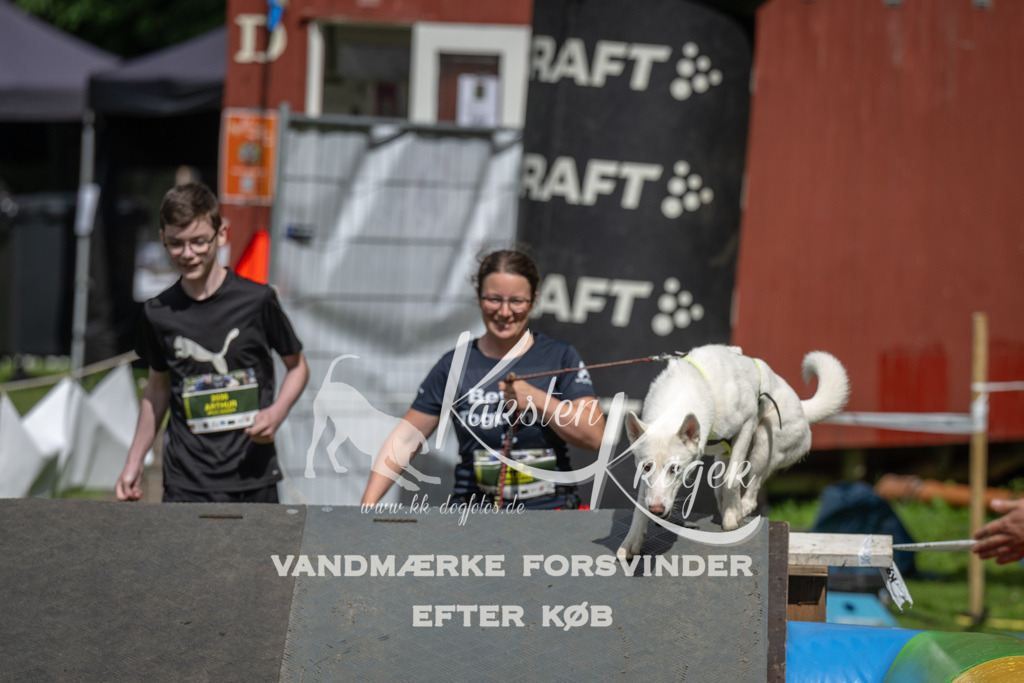 1441_ZZ91857 | kk-dogfotos