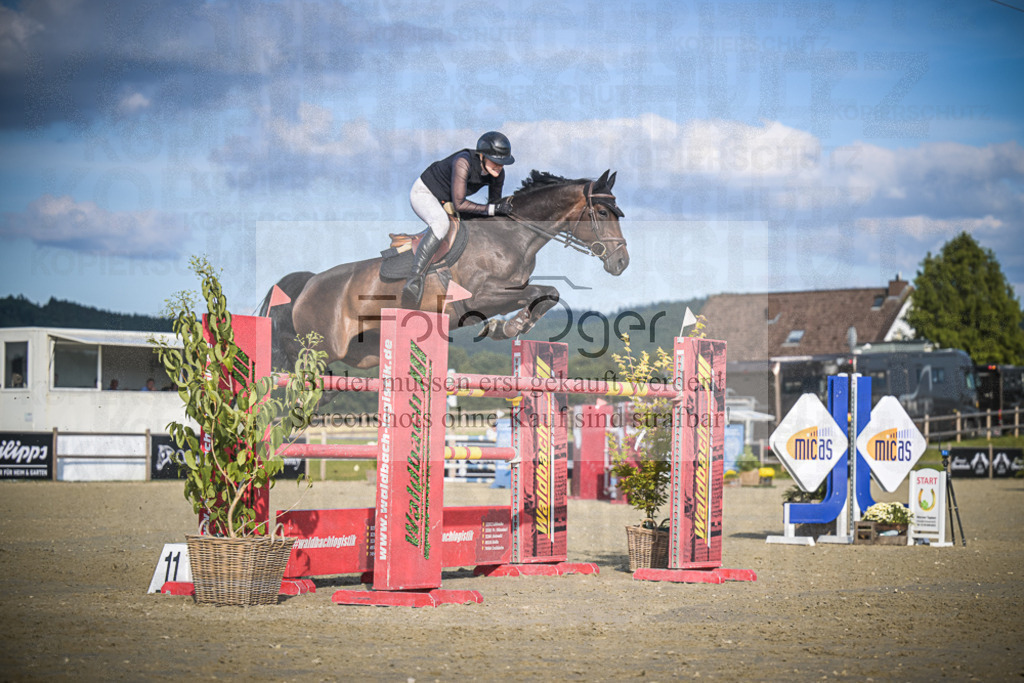 DOS_3315 | Entdecke hochwertige Reitturnierfotos von Foto Oger. Professionell, emotional und authentisch – jetzt Lieblingsmomente im Shop bestellen.Deutschlandweite Turnierfotografie. - Realisiert mit Pictrs.com