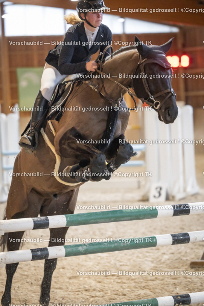 _D5A8619 | Emotionale Pferde- & People-Fotografie rund um Heidelberg, Leimen & Umgebung. Natürliche Fotos von Pferd, Mensch & Familie. Jetzt Termin sichern!