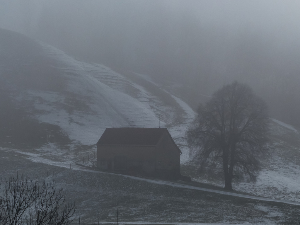 PSX_20230303_233204 | mtkfoto_ - Realisiert mit Pictrs.com