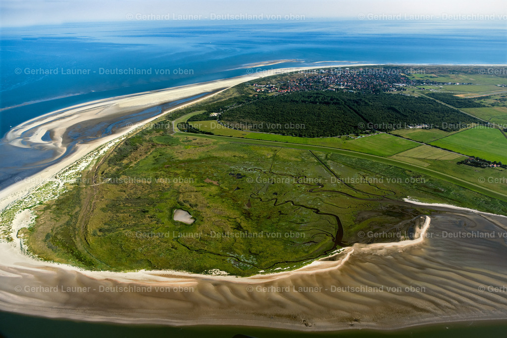 4037028 | Vogelschutzgebiet Flinthörn, Langeoog