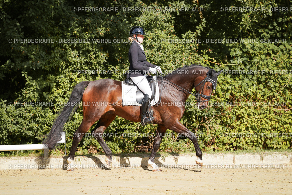 DSC07737 | Pferdegrafie