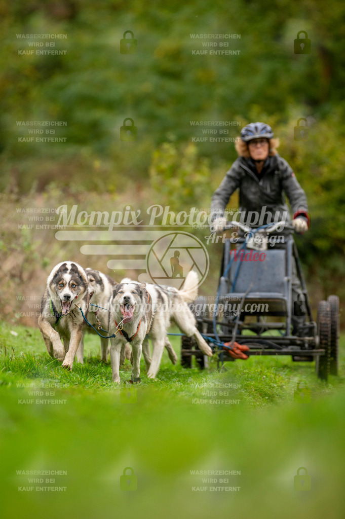TSB_2023_E6_Kart-10 | PayLife