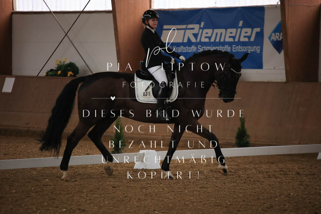 IMGT8996 | pl-fotografie