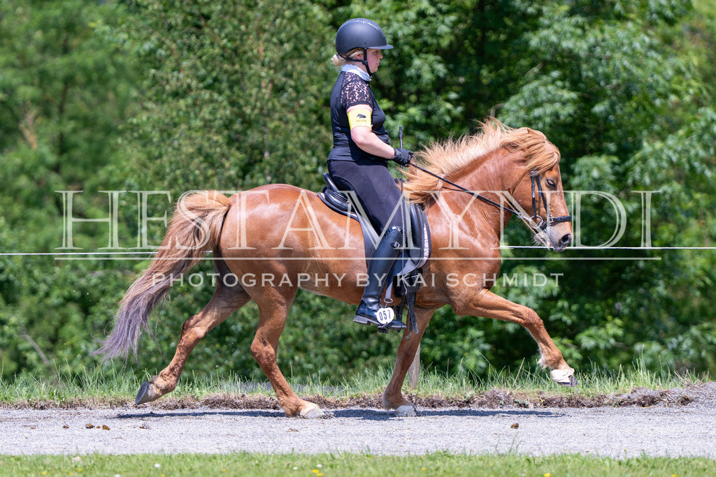 KAI04045 | Ihr sucht einen Fotografen für eure nächste OSI? Ich begleite auch euer Turnier für Islandpferde fotografisch.  - Realisiert mit Pictrs.com