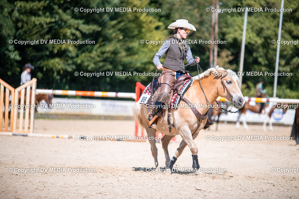 ZS1_1541 | dv-media-shop - Realisiert mit Pictrs.com