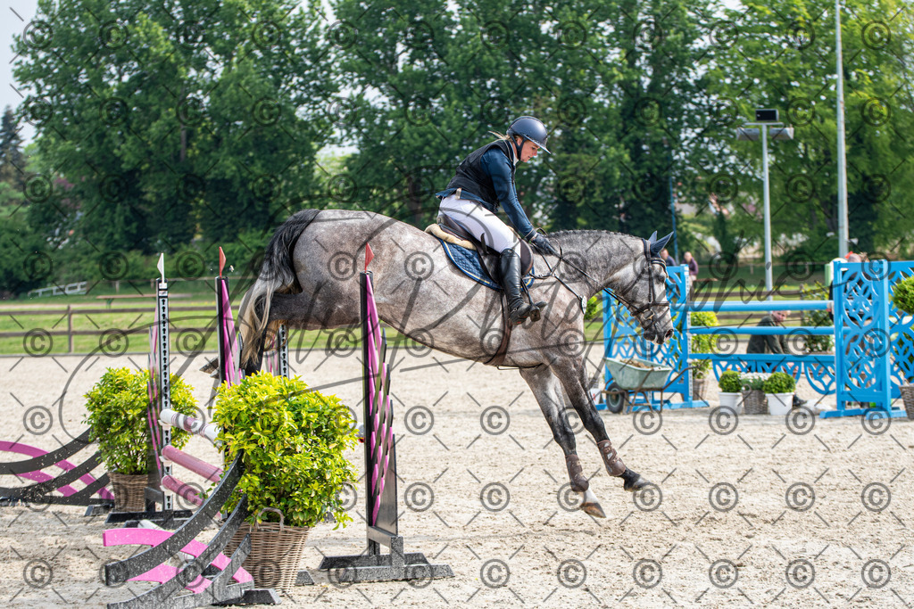 KPT_2378 | andre_photographic