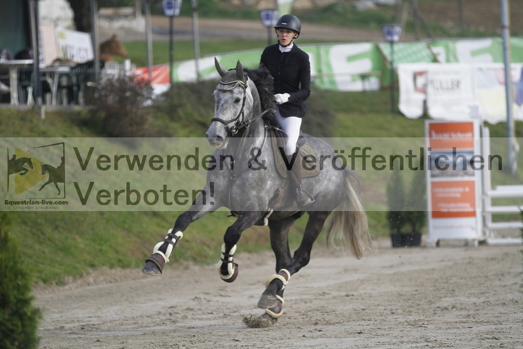 _MG_3746 | equestrian-live-com