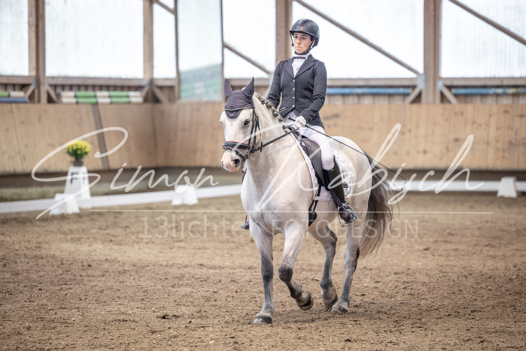 20251011-_3LI1946 | Tierfotografie Pferde, Hunde, Katzen, Haustiere.
Turnierfotografie Reitturniere, Reiten, Springreiten, Dressur in Hanau, dem Main-Kinzig-Kreis und dem Rhein-Main- Gebiet um Frankfurt