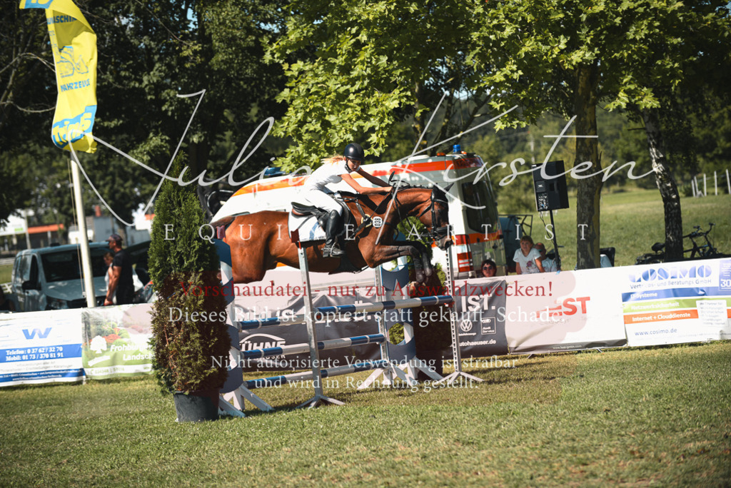 DSC_7026 | Pferde- und Turnierfotografie in Westsachsen. Pferdeportraits, Auftragszeichnungen und intuitive Kunst.