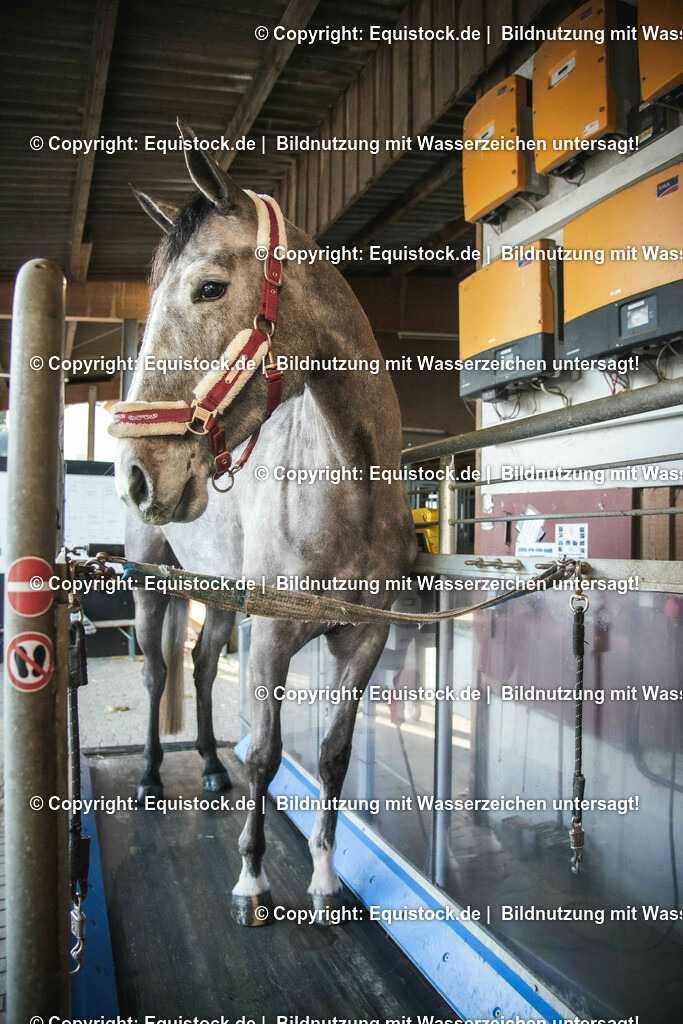 20200118_Laufband_0005 | Foto: Thomas Hartig