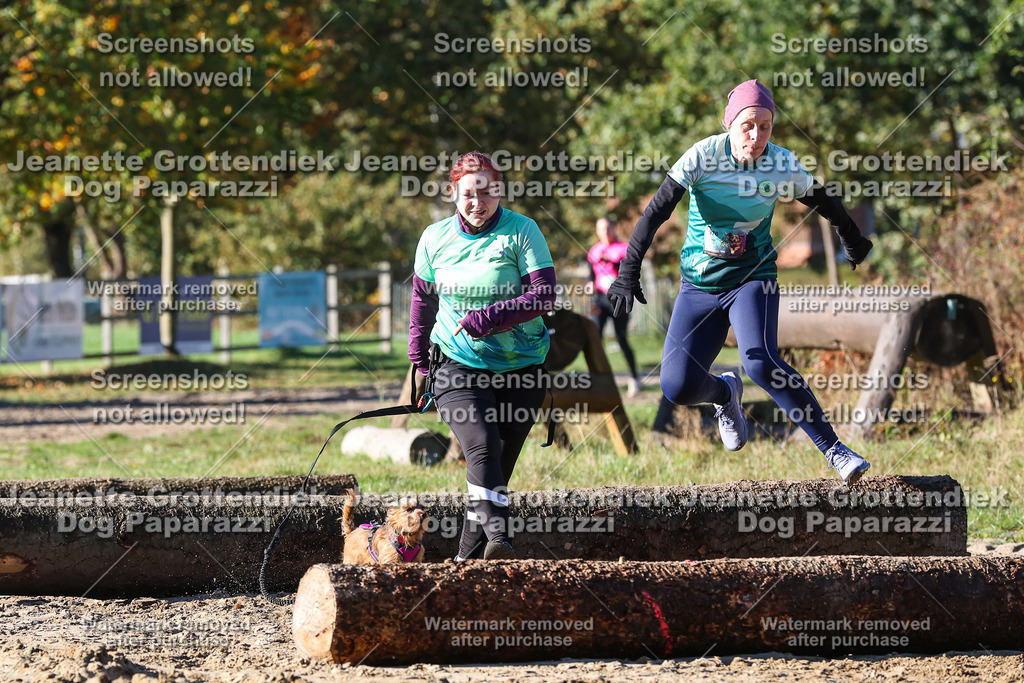 Dog Paparazzi - Strongdog 10-25-1815 | Dog Paparazzi Jeanette Grottendiek Fotografie & Videografie - Realisiert mit Pictrs.com