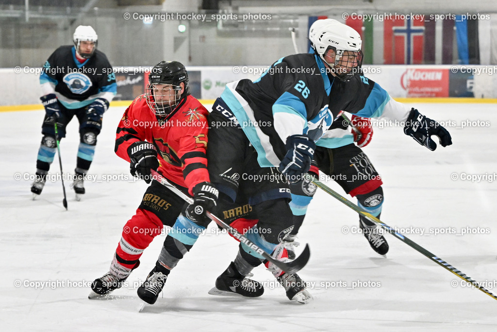 Lendhafen Seelöwen vs. Spartans Althofen | #51 Titze Lukas Spartans Althofen, #26 Miskovez Alexej Lendhafen Seelöwen, Lendhafen Seelöwen vs. Spartans Althofen, Lendhafen Seelöwen vs. Spartans Althofen am 14.02.2025 in Ferlach (HTC Eishalle Ferlach), Austria, (Photo by Bernd Stefan)