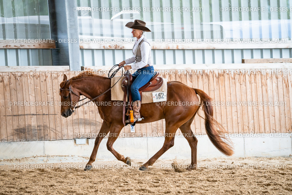 DSC00191 | Pferdegrafie