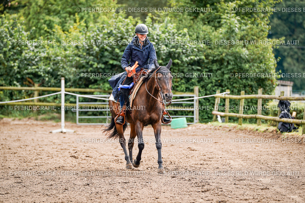 DSC06028 | Pferdegrafie