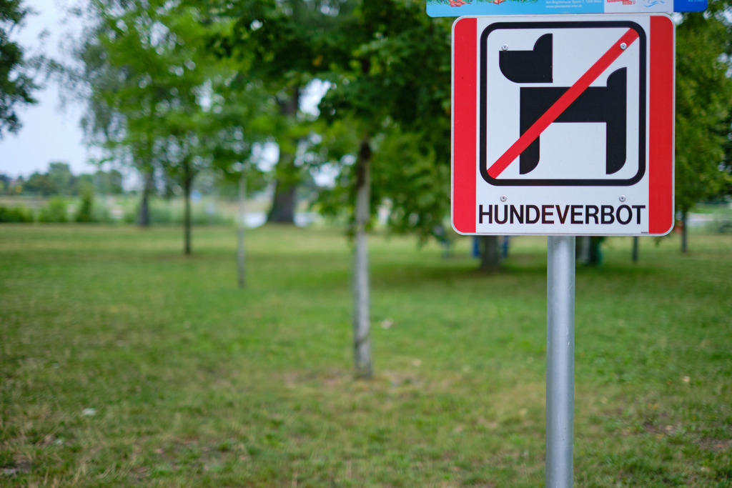 Wiese mit Hinweis Hundeverbot | Wien, Austria - August 02, 2023: Wiese mit Hinweis Hundeverbot. - Realisiert mit Pictrs.com
