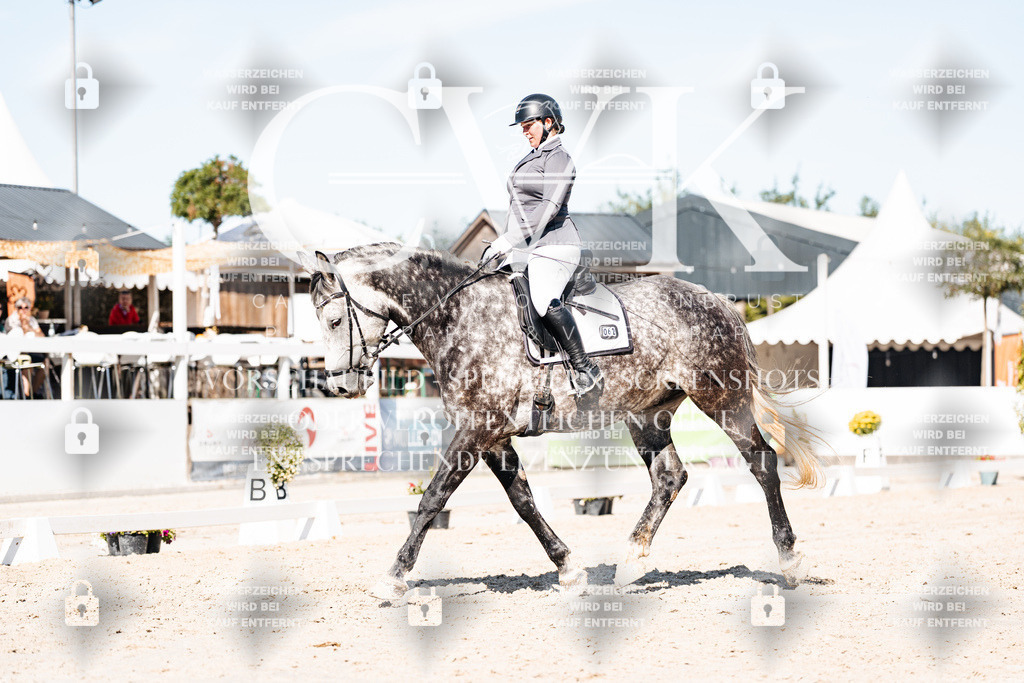 CK908262 | Turnierfotografie Pferdefotografie Trier Rheinland-Pfalz Pferdesport Reitsport Tierfotografie Sportfotografie Pferdevideo Pferdevideografie Equestrianvideography equestrianphotography  - Realisiert mit Pictrs.com