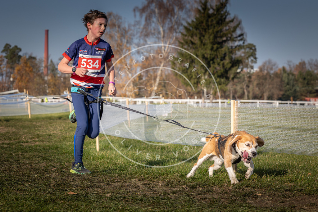 CaniXpix_0L8A9040 | Hundefotografie, Tierfotograf, Pfotenfotografie, Fotoshooting Hund, Hunde Portrait, Hundesport, Hundeportraits, Heideshooting, Hunde, Sportfotograf, Hundefotograf, Turnierhundsport, THS,  - Realisiert mit Pictrs.com