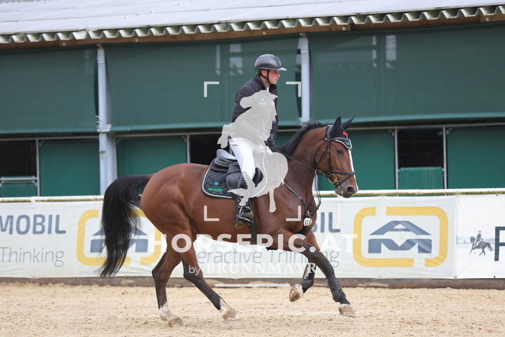 0P6A1346 | Willkommen bei Brunnmayr - Design & Fotografie – Ihrem Spezialisten für Reitturniere und Pferdeveranstaltungen in Oberösterreich, Salzburg und Bayern! Seit über 17 Jahren sind wir leidenschaftlich dabei.