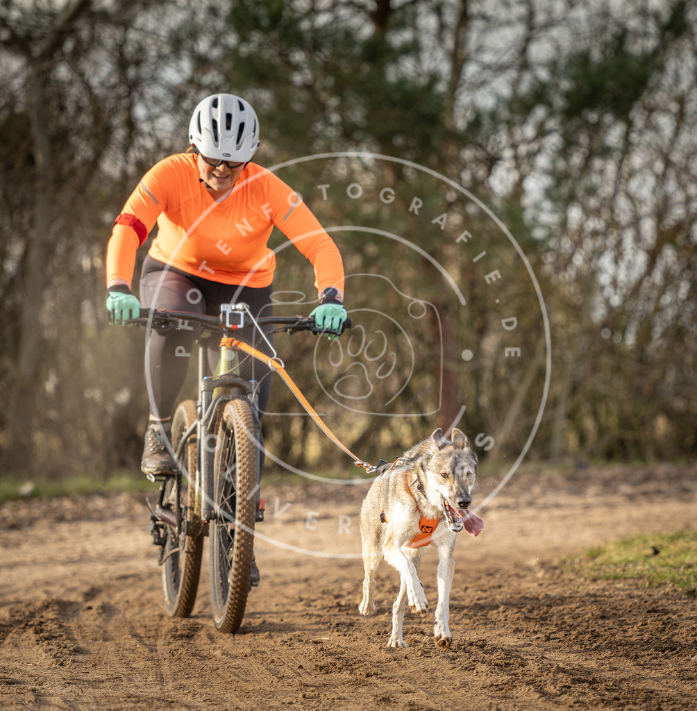 Pfotenfotografie_DV3A8543 | Hundefotografie, Tierfotograf, Pfotenfotografie, Fotoshooting Hund, Hunde Portrait, Hundesport, Hundeportraits, Heideshooting, Hunde, Sportfotograf, Hundefotograf, Turnierhundsport, THS,  - Realisiert mit Pictrs.com