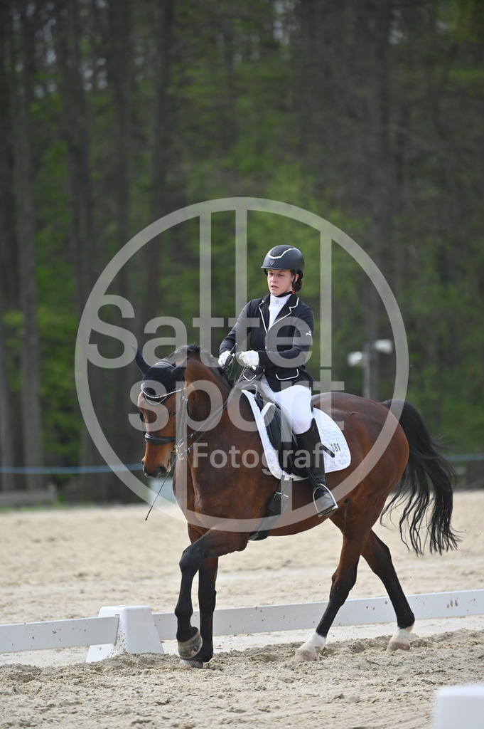 DSC_4989 | sattelsport - Realisiert mit Pictrs.com