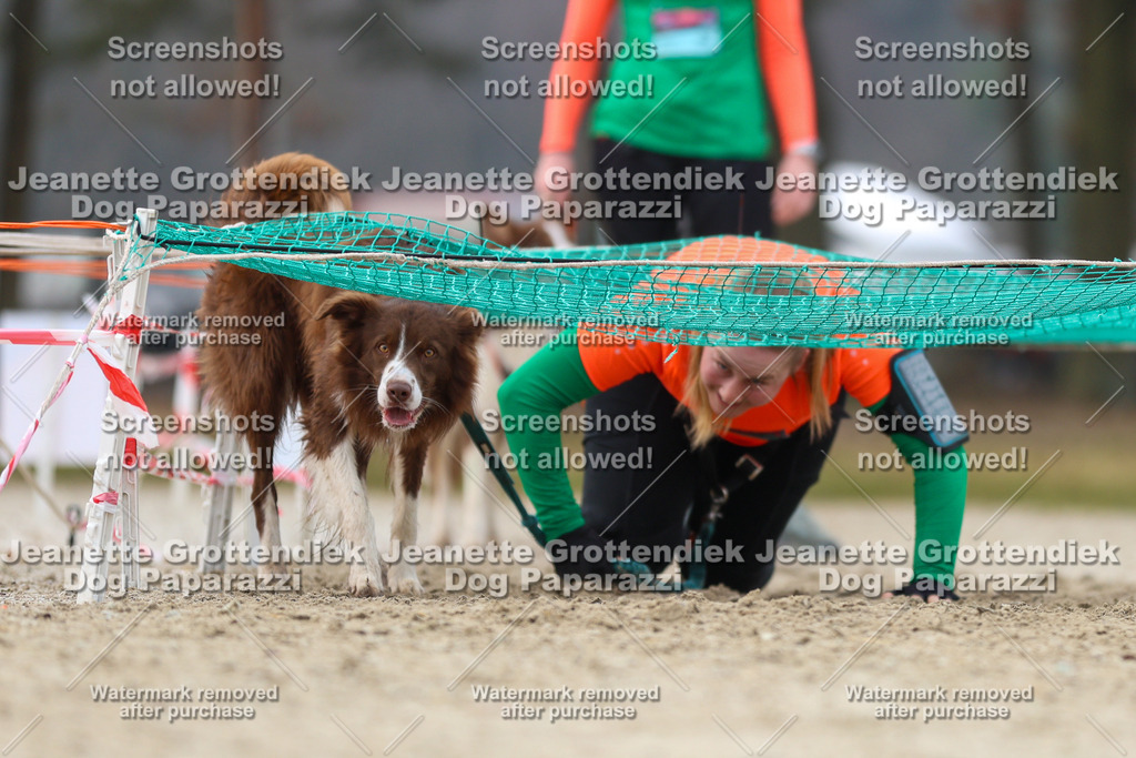 Dog Paparazzi - Strongdog North Mrz26-4558 | Dog Paparazzi Jeanette Grottendiek Fotografie & Videografie - Realisiert mit Pictrs.com