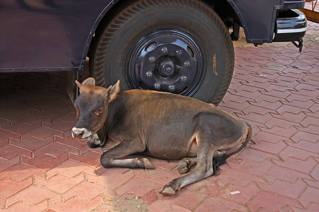 IMG_1221a | ansichtssache