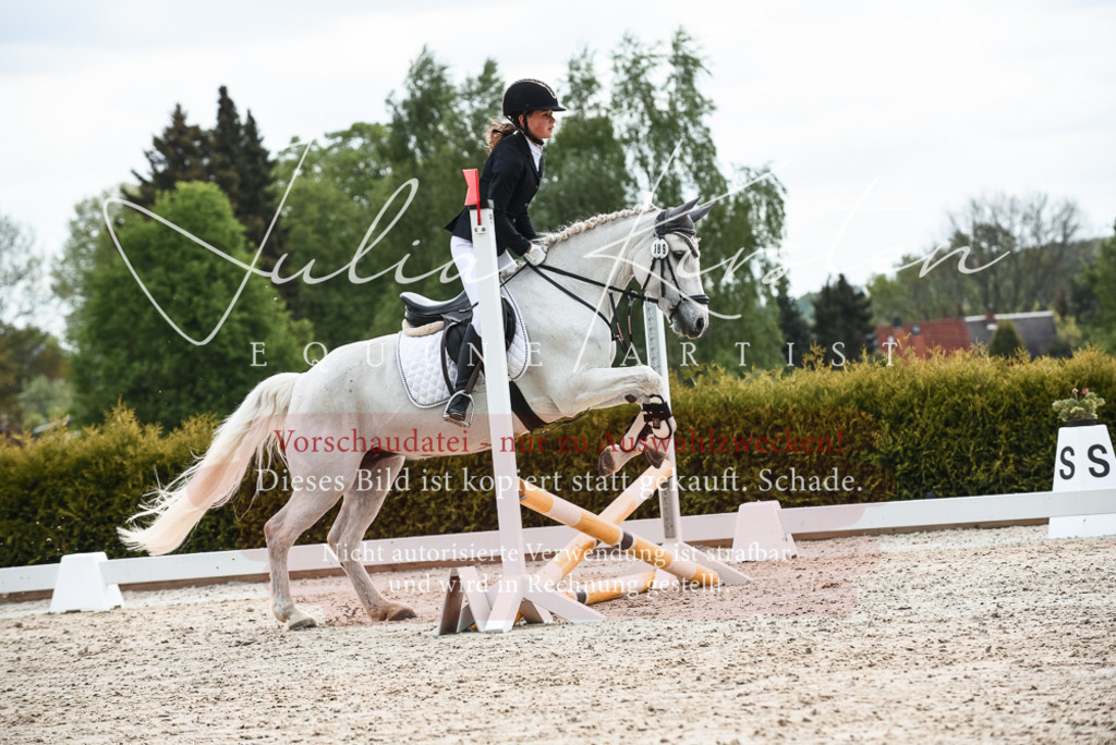 20230518_JK-Röhrsdorf-10-243 | Pferde- und Turnierfotografie in Westsachsen. Pferdeportraits, Auftragszeichnungen und intuitive Kunst.