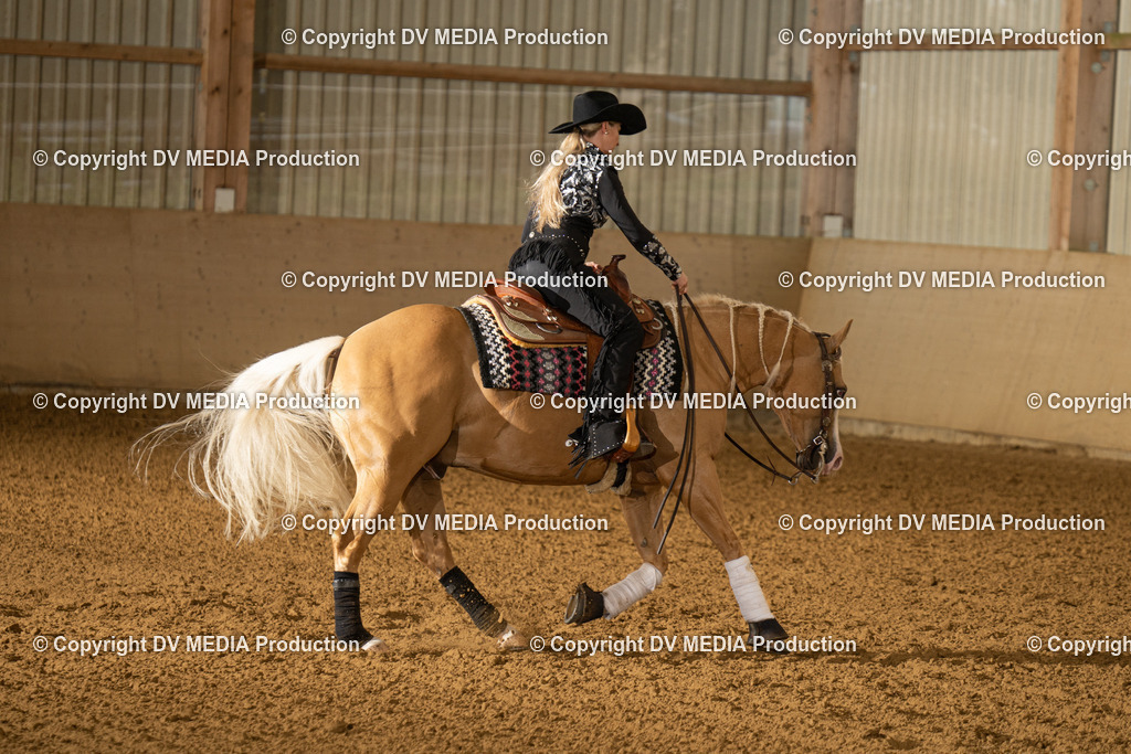 LAU01056 | dv-media-shop - Realisiert mit Pictrs.com