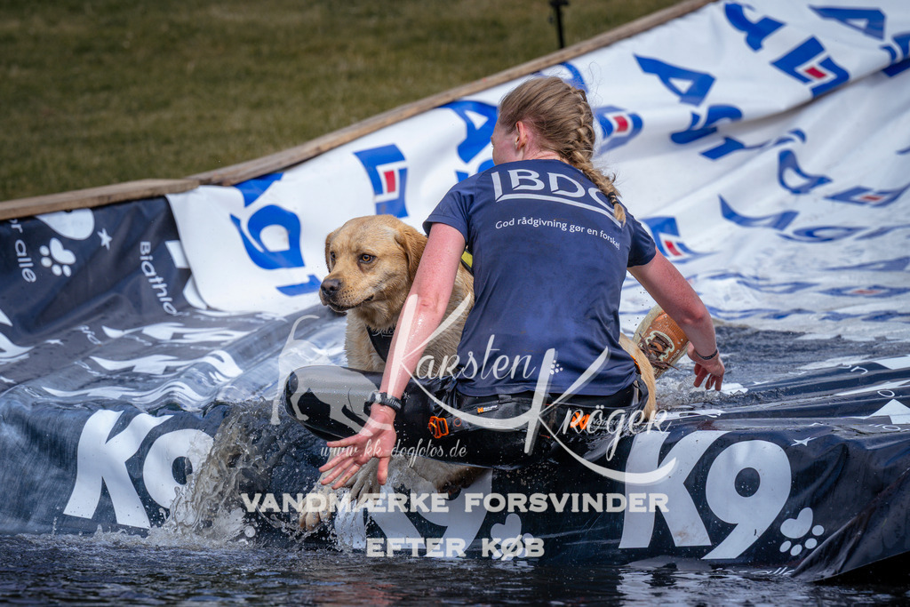_ZZ910680911 | kk-dogfotos