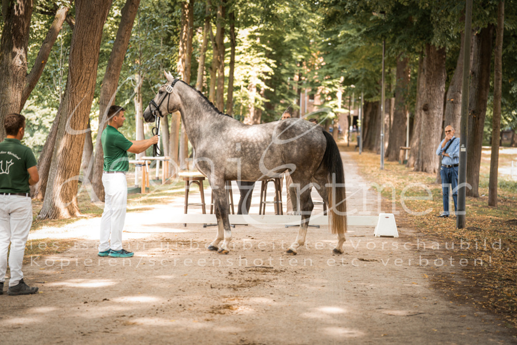 FrPfM00179 | Leoni Ertmer Photography - Realisiert mit Pictrs.com