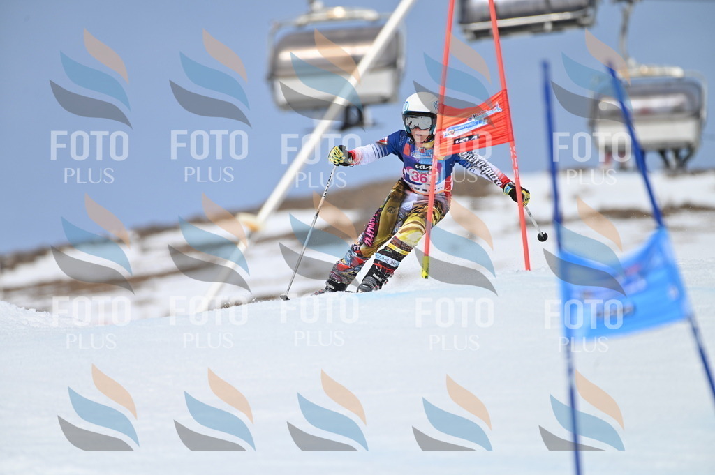 BGV_3964 | holidayphoto