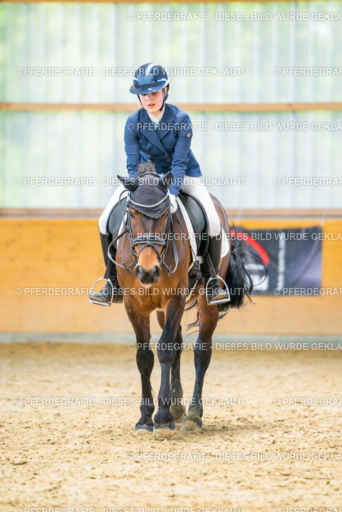 DSC08296 | Pferdegrafie