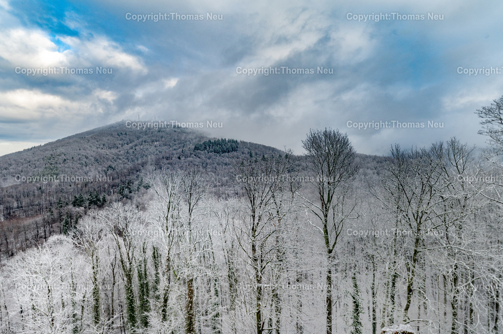 Winter-Schloss-Auerbach-Thomas_Neu_Fotografie-22 | Winterzauber auf Schloss Auerbach: Die historische Burgruine hoch über der Bergstraße zeigt sich im Schnee von ihrer beeindruckendsten Seite. Der Blick über die Rheinebene, der mächtige Wehrturm und die markante Schwarzkiefer machen das Schloss zu einem der schönsten Wintermotive im Odenwald. Entdecken Sie die faszinierende Kombination aus Geschichte, Natur und einzigartiger Winteratmosphäre., Bild: Thomas Neu